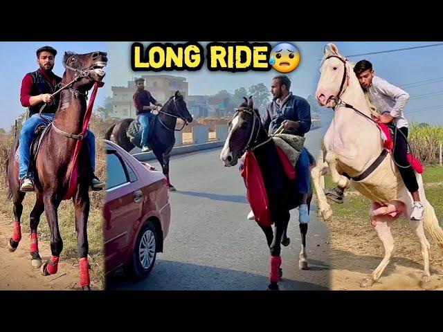 30 KM Ki Long Ride Mai COMMANDO Or BADAL Ne Bohot Preshan Krdiya  ( Worst Ride )