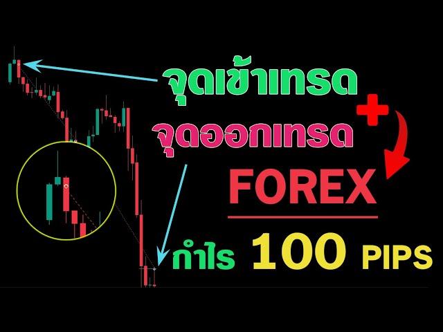 FOREX | สอนเทคนิคเข้าเทรด + อธิบาย จุดเข้าเทรด ที่วิ่งยาวเป็น 1,000 จุด