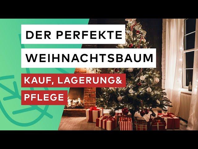 Der perfekte Weihnachtsbaum Kauf, Lagerung und Pflegetipps!