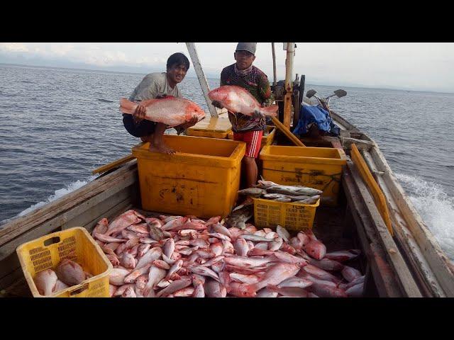 Pesta strike kapmer bantal!