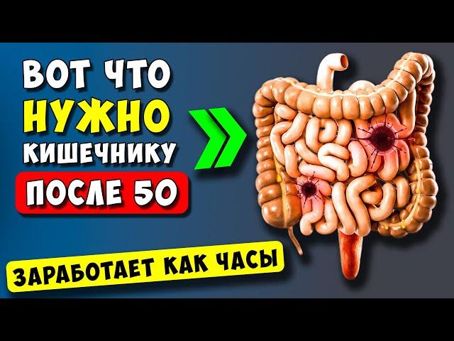 Эти 5 продуктов ЧИСТЯТ Кишечник после 50 лет! Супер еда для Кишечника...