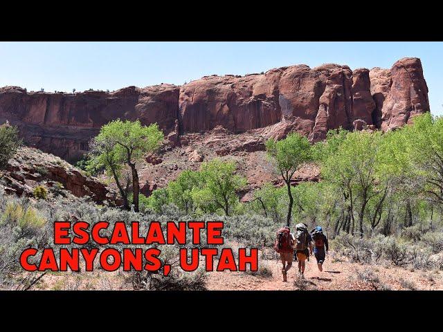 Backpacking the Escalante Canyons - Silver Falls Creek/Choprock Canyon Loop (3 Days)