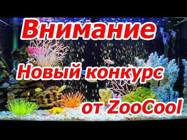 Внимание, новый конкурс для аквариумистов от ZOOCOOL