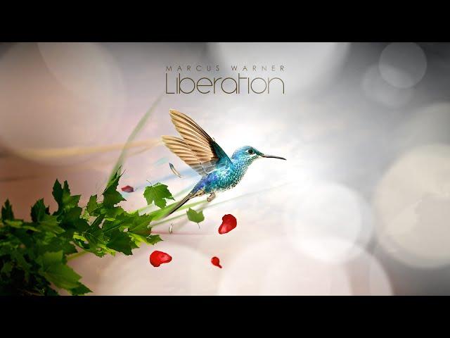 Marcus Warner - Liberation (Continuous Mix)