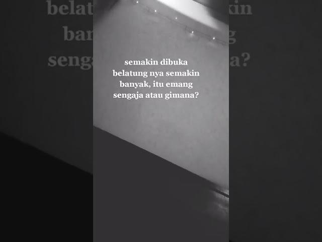 belatung viral link ada di komentar#belatung