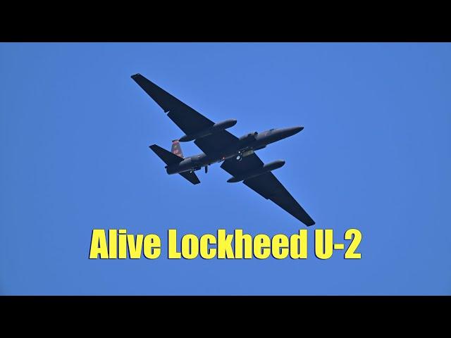 RIAT Air Tattoo 2024 & Farnborough Airshow⑦：alive Lockheed U-2 fly