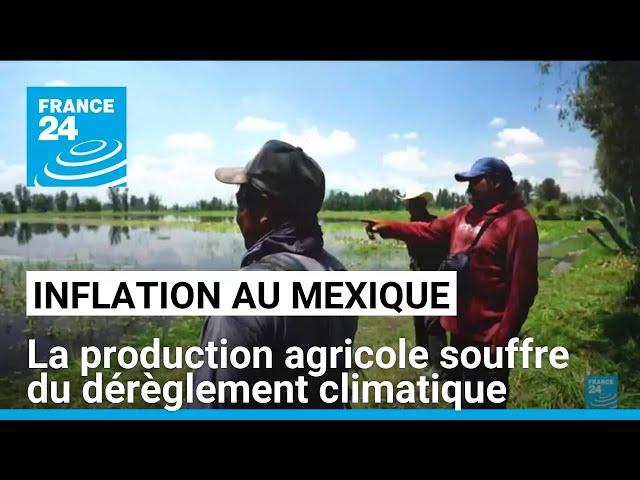 Inflation au Mexique : la production agricole souffre du dérèglement climatique • FRANCE 24