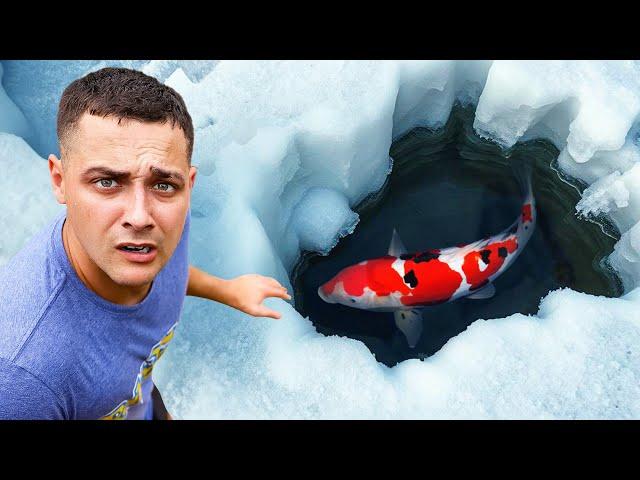 I Saved Rare Fish From Freezing to Death