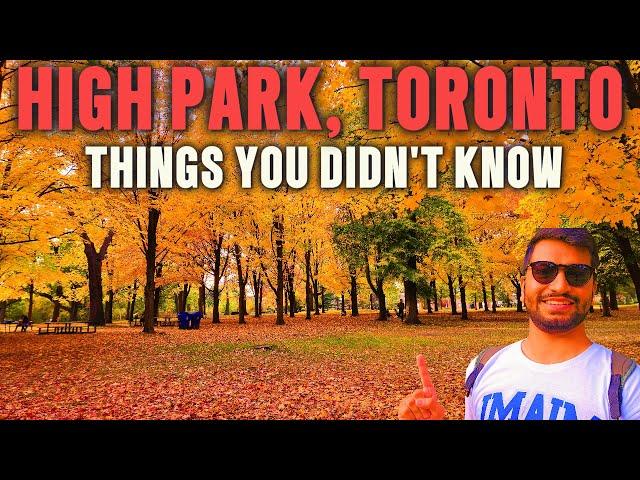 Visiting High Park Toronto? WATCH THIS FIRST!