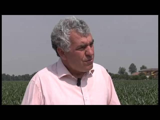 Agricoltura Conservativa: cos'è?