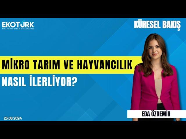 Küresel Bakış | Kenan Yavuz | Eda Özdemir