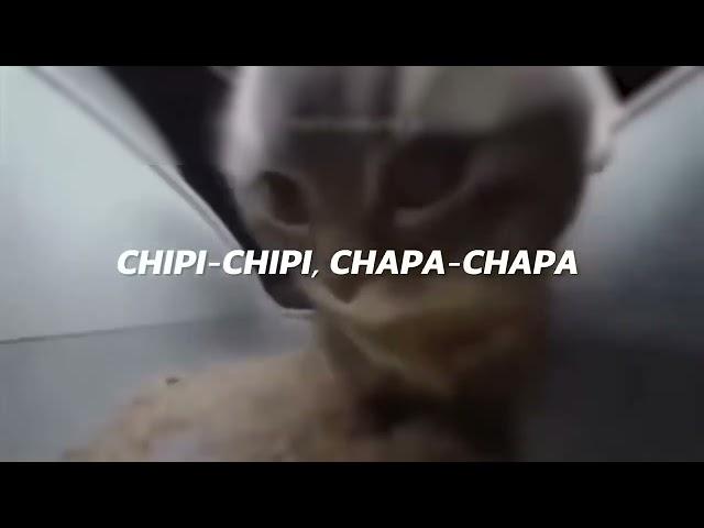 chipi chipi chapa chapa dubi dubi daba daba Christell - Dubidubidu (LETRA)