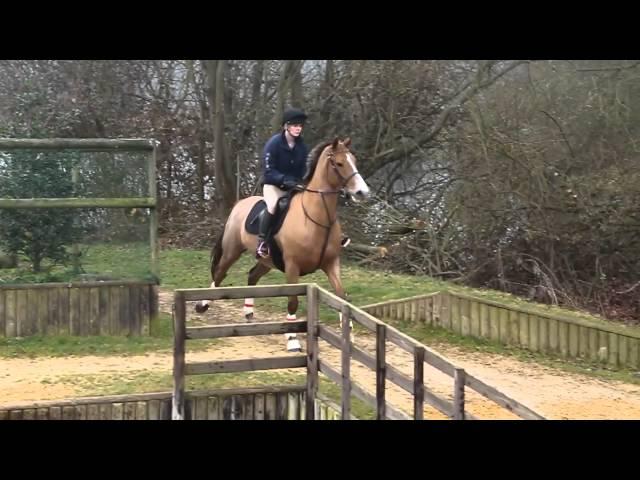 Cross Country Schooling - Flying ponies! (and riders haha).