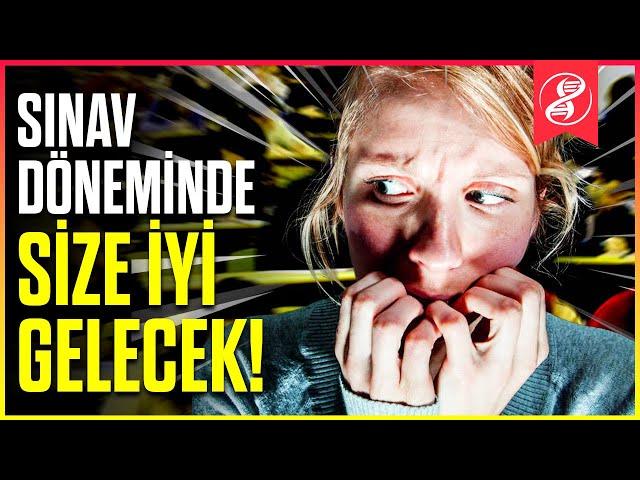 Sınavda 10 Puan Öne Geçmek İçin Bu Videoyu İzleyin!