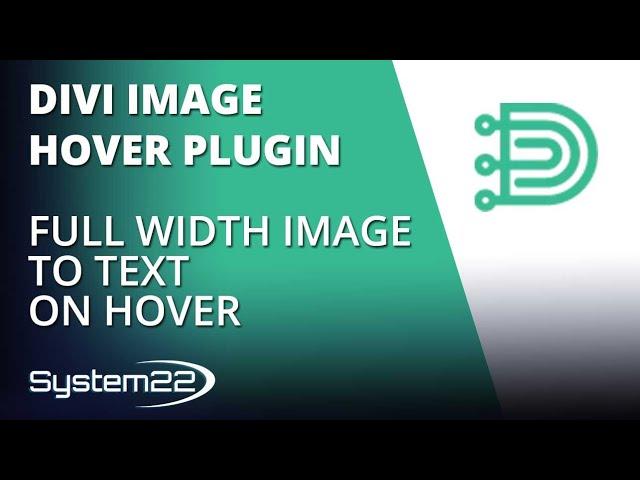 Divi Theme Hover Effects Full Width Image To Text On Hover 