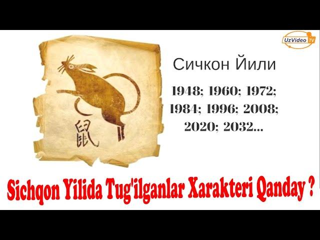 Sichqon YilidaTug‘ilganlarXarakterini bilib Olamiz - Sichqon muchalida tug’ilganlar haqida !!!