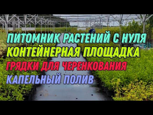 Питомник растений с нуля. Контейнерная площадка. Грядки для черенкования. Капельный полив.