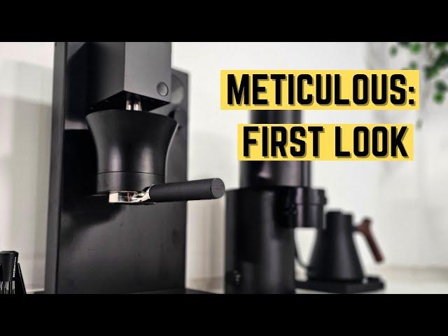 METICULOUS FIRST LOOK