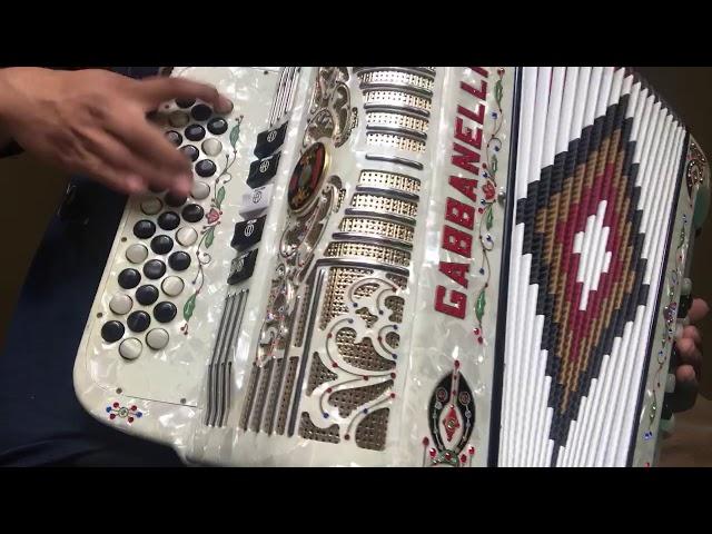 Ramon ayala accordion solo crazy skills