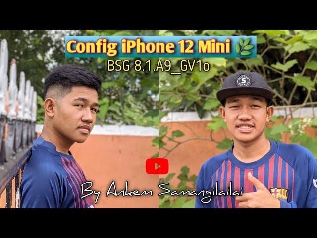 NewConfig iPhone 12 Mini BSG 8.1 by Ankem Samangilailai