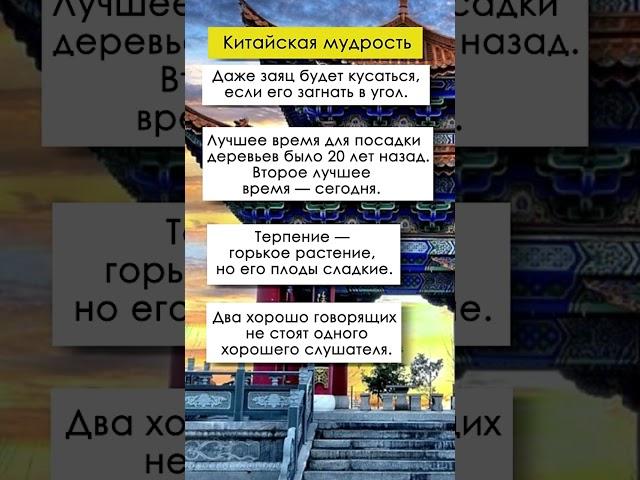 Цитаты китайских мудрецов. Китайская мудрость.  #саморазвитие #мудрыеслова #китайская