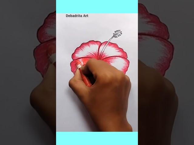 Hibiscus flower drawing #viral