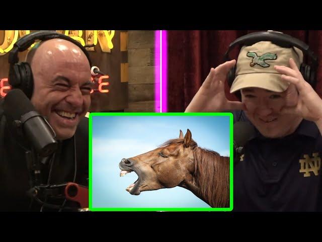 Joe Rogan tells Shane Gillis about Mr. Hands, Saddle up Partner | JRE 1957