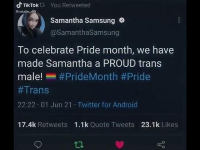 Samsung Sam virtual assistant trans meme