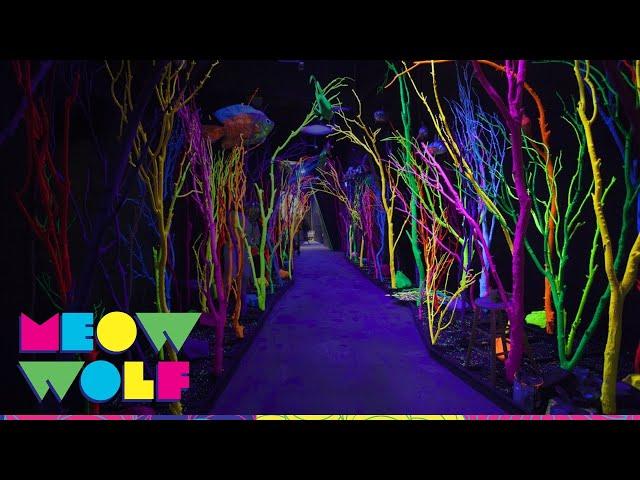 The Meow Wolf Experience | Meow Wolf