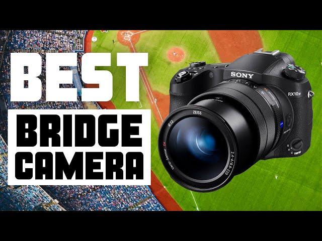 9 Best Bridge Camera for Wildlife & Sports Photography  - Which Is The One For You?