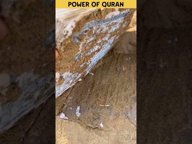 Power of Allah  | Miracle of Quran#allah #islam