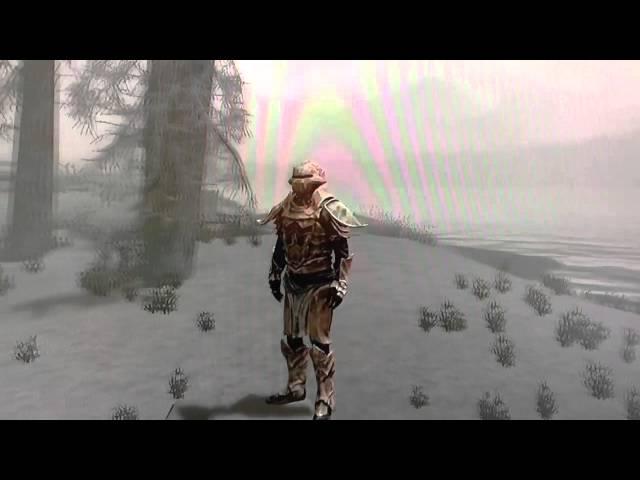 Skyrim Armors [Heavy Bonemold Pauldron Armor]