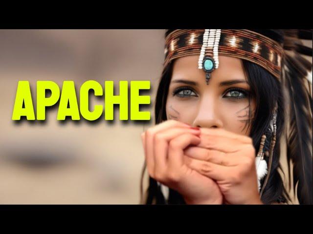 APACHE HARMONICA ( C DIATONIC ), ARMÓNICA C, TABS, BLUES HARP C, GAITA DE BOCA C, MUNDHARMONIKA C