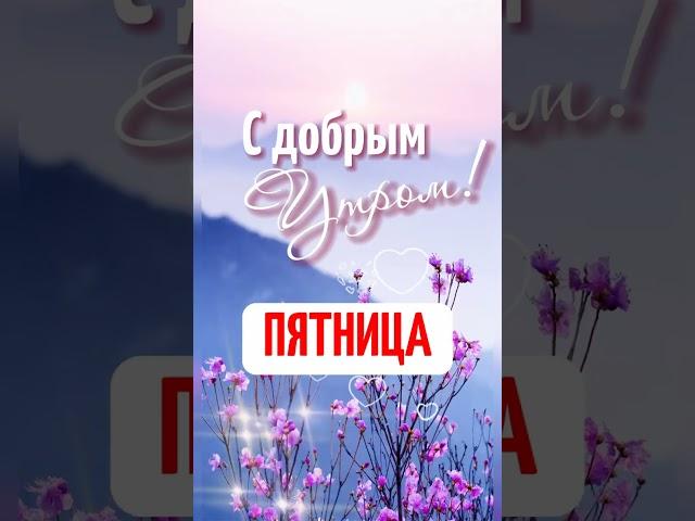 Пятница ️С добрым утром! #ПятницаДоброеУтро