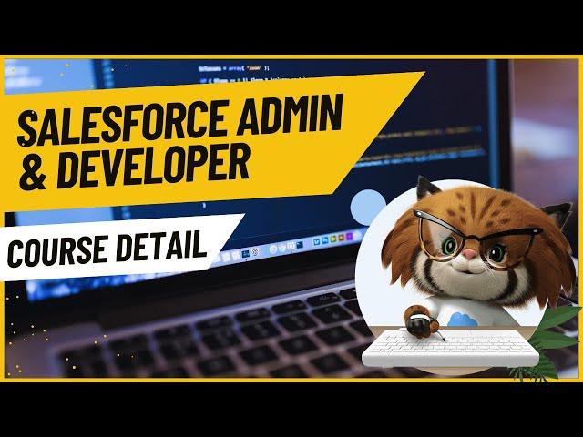 Salesforce Admin & Developer Full Course - 2024 #CodeIsha #salesforce #trailhead