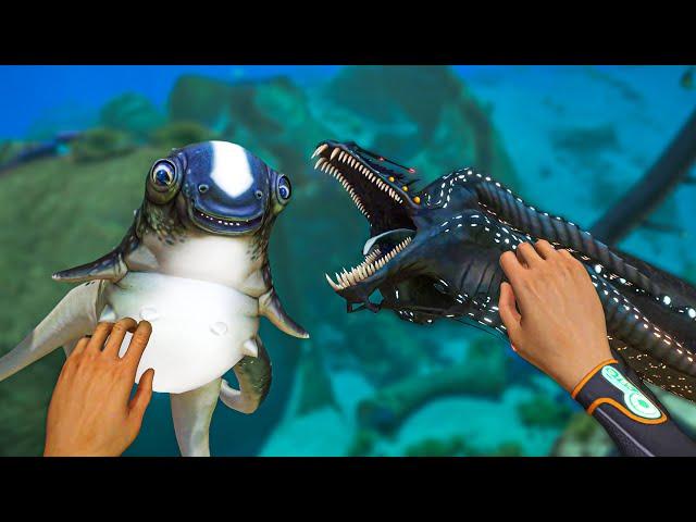 Baby Gargantuan vs Cuddlefish