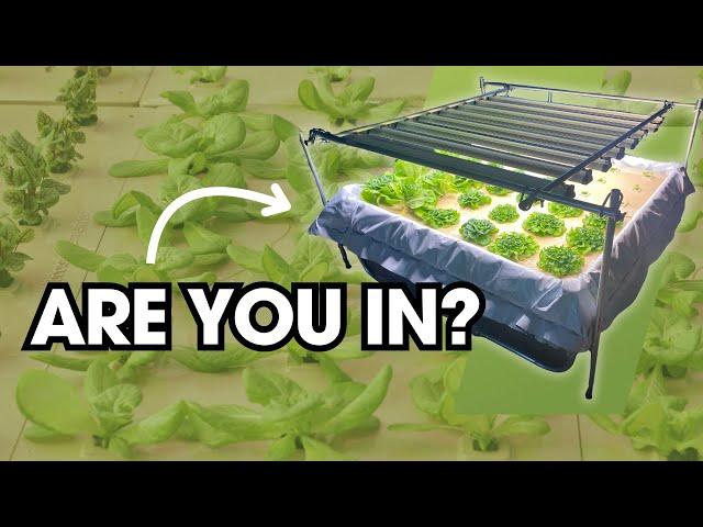 Indoor Farming: Year-Round Leafy Greens Made Simple with This Scalable Hydroponics Kit