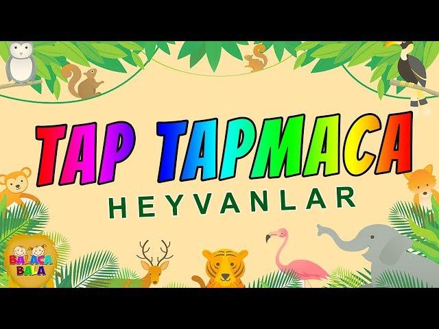 Tap Tapmaca (Heyvanlara aid tapmacalar)