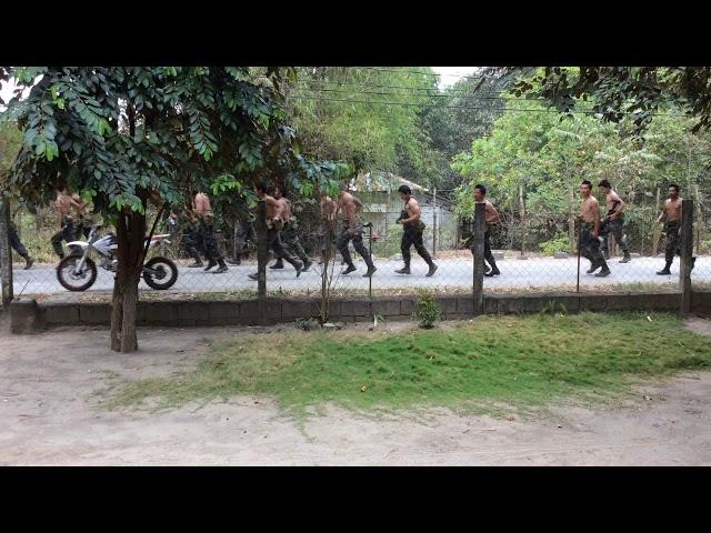 The Special Action Force COMMANDO (SAF) - Training