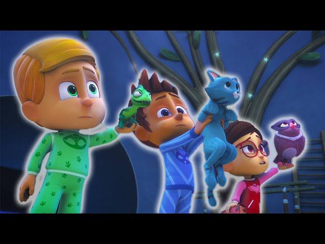 PJ Masks | Ninja Power Up | Kids Cartoon Video | Animation for Kids | COMPILATION