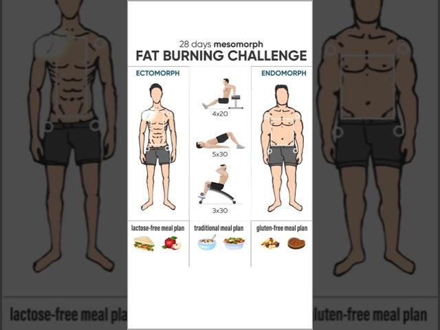 28 days mesomorph fat burning challenge#shorts#fat burning#muscle4life