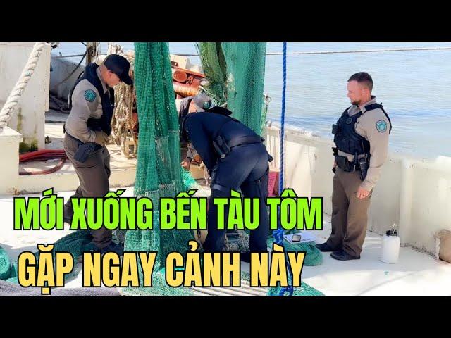 Mới Xuống Bến Tàu Tôm Gặp Ngay Cảnh Này, Họ Là Ai?