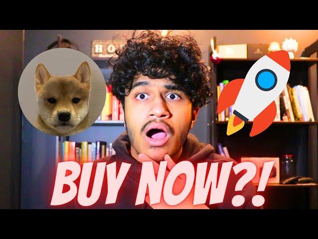 THE NEXT 1000X MEMECOIN?! $NOHAT DOGWIFNOHAT PRICE PREDICTION!! $NOHAT REVIEW