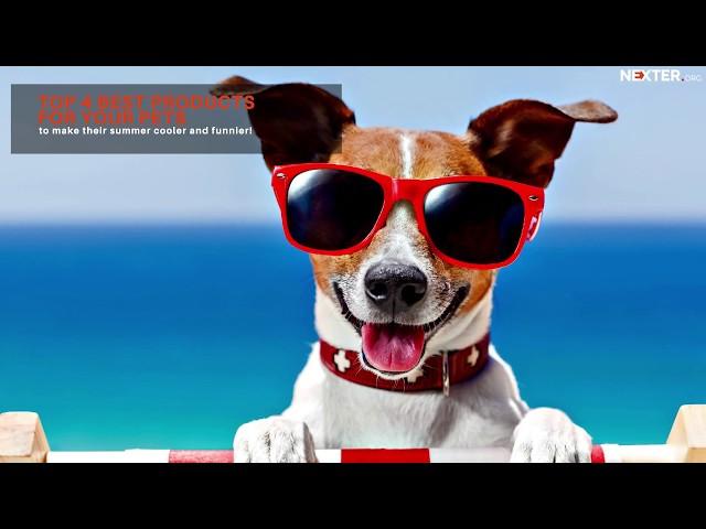 Top 4 best products for your pets to make their summer cooler and funnier!