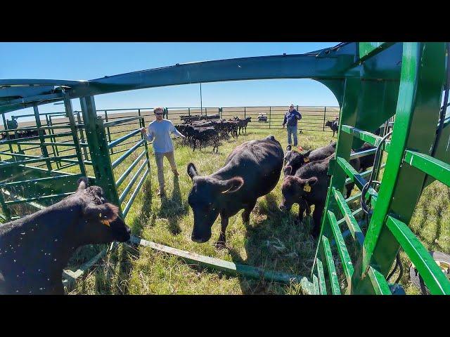 On the Ranges of South Dakota