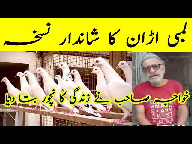 Kabootar ki parwaz k leay nuskha | Kabotaro ko Urna ka Nuskha | Parwazi Nuskha Pigeon | #kabootar