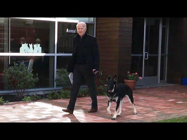 The Backstory of How Joe Biden Adopted His Rescue Dog