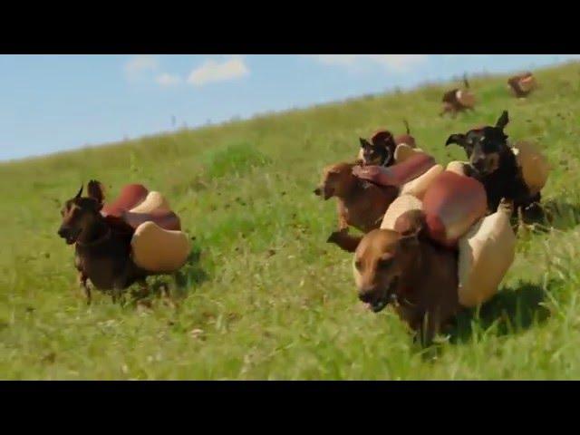 HEINZ Ketchup  2016  Hot Dog Commercial  the  'Wiener Stampede'