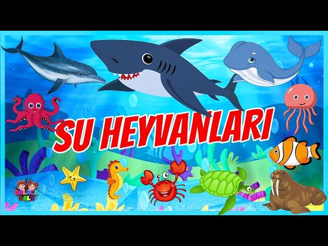 SU HEYVANLARI – SU HEYVANLARINI TANIYAQ