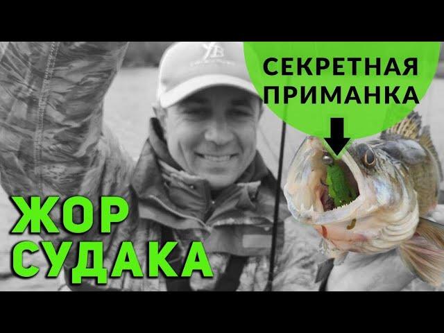 Судак Весной | Секретная приманка №1 для Весеннего Судака.